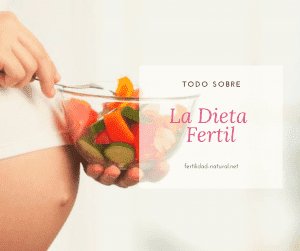 dieta fertilidad