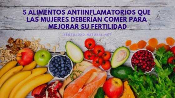 alimentos antiinflamatorios fertilidad