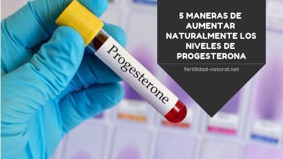 aumentar progesterona de manera natural