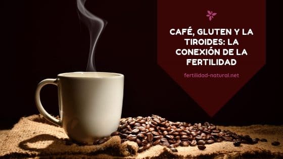 gluten del cafe tiroides fertilidad