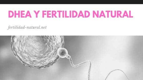 dhea fertilidad