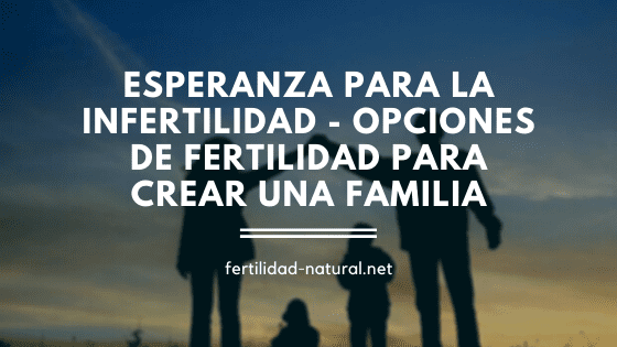 infertilidad-opciones crear familia